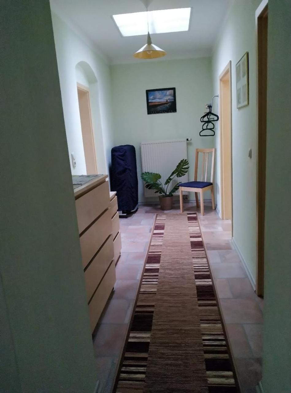 Ambiente-An-Der-Elbe-Wohnung-Og Dresde Extérieur photo
