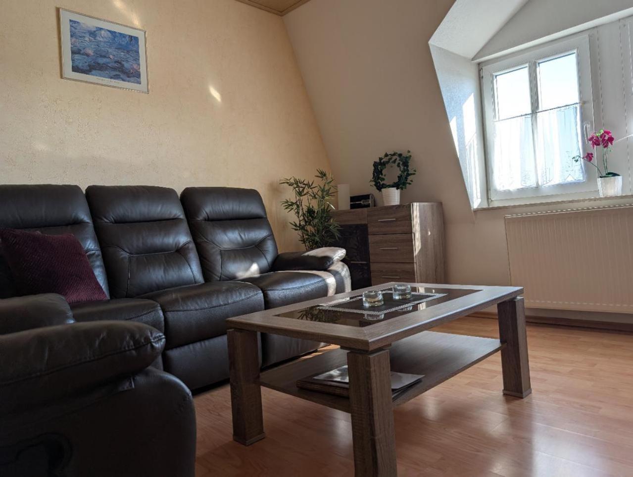 Ambiente-An-Der-Elbe-Wohnung-Og Dresde Extérieur photo