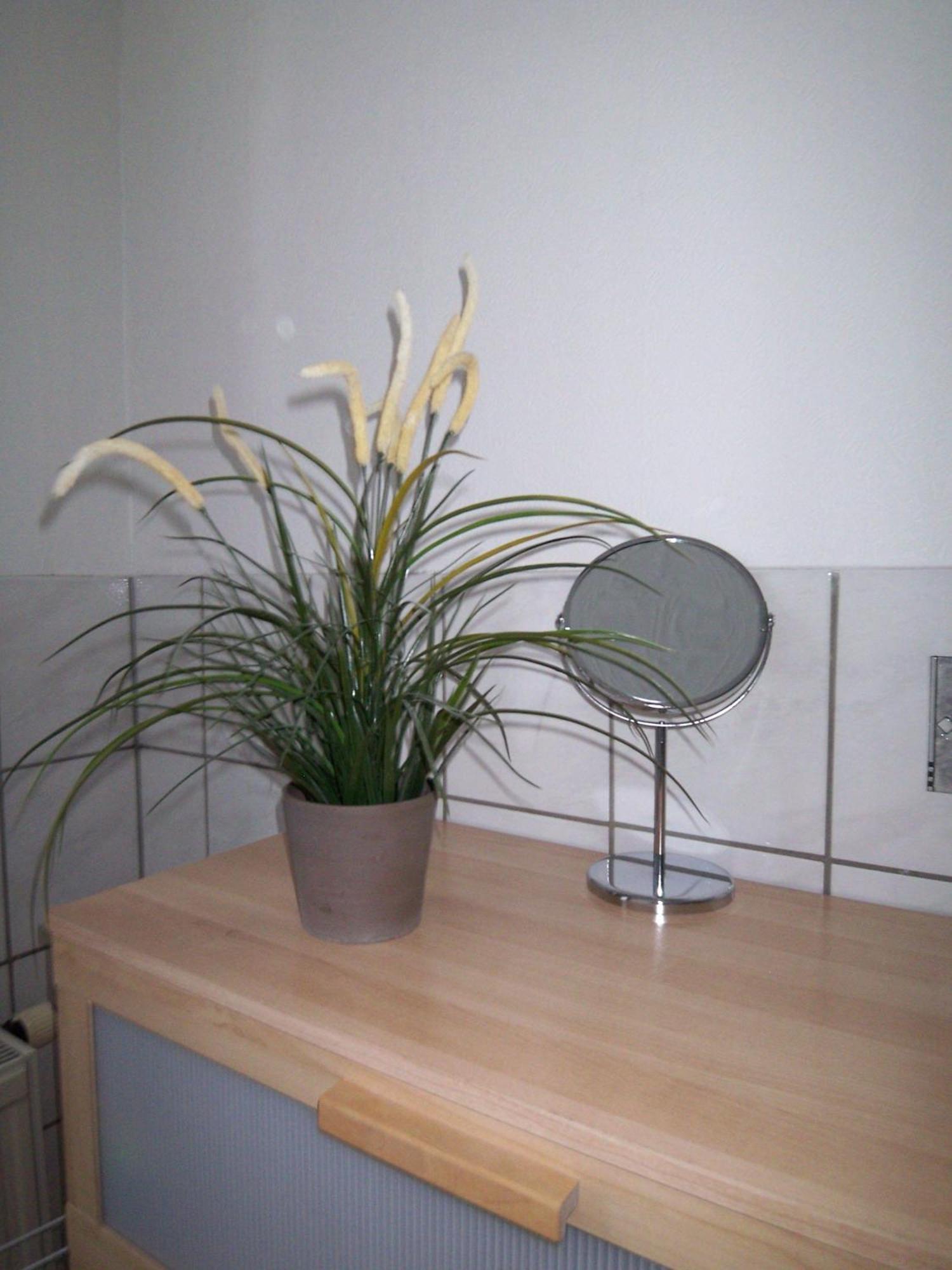 Ambiente-An-Der-Elbe-Wohnung-Og Dresde Extérieur photo